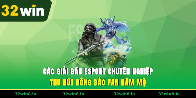 Các giải đấu esport chuyên nghiệp thu hút đông đảo fan hâm mộ