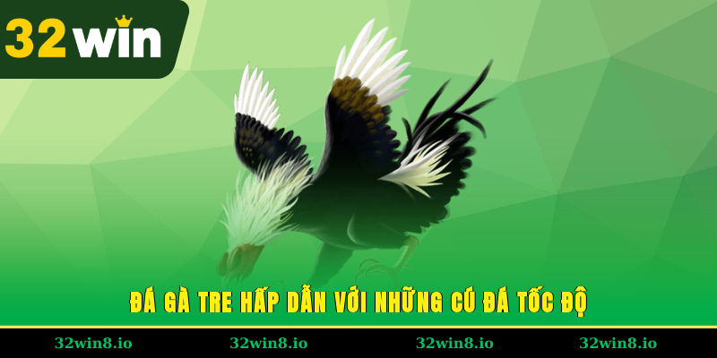 Đá gà tre hấp dẫn với những cú đá tốc độ