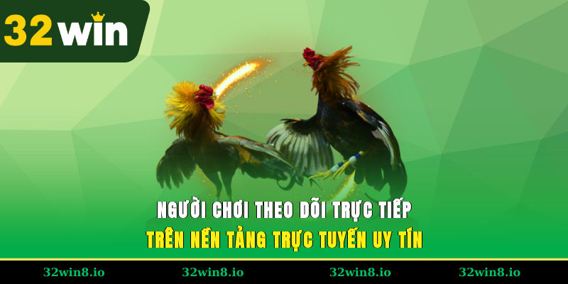Người chơi theo dõi trực tiếp trên nền tảng trực tuyến uy tín